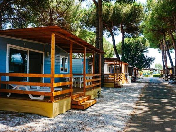 Chalet Grand Charme voor 4 personen op Camping River Village - JoyCasa - Ameglia (SP)
