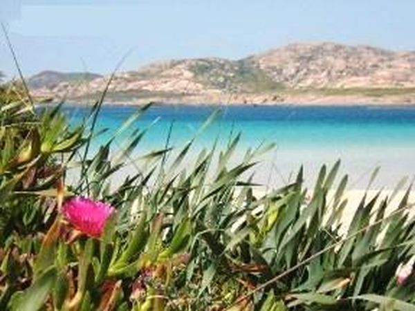 B&B la Vela Latina - Stintino (SS)