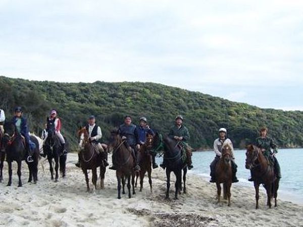 La Locanda del Minatore - Massa Marittima (GR)