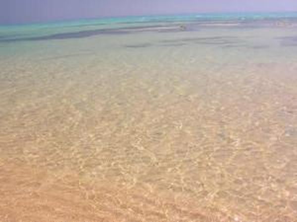 Bellavista Casa Vacanze - Castelvetrano (TP)