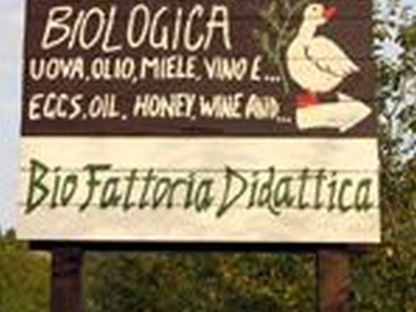 La Fattoria di Valentina - Pomarance (PI)