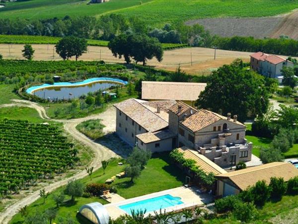 Oasi Biologica - Montedinove (AP)