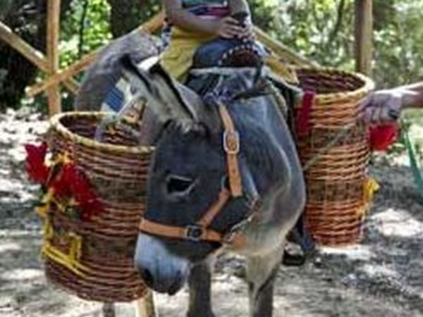 La Serra - Crespina (PI)