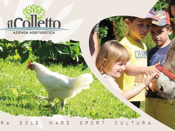Il Colletto Azienda Agrituristica - Albenga (SV)