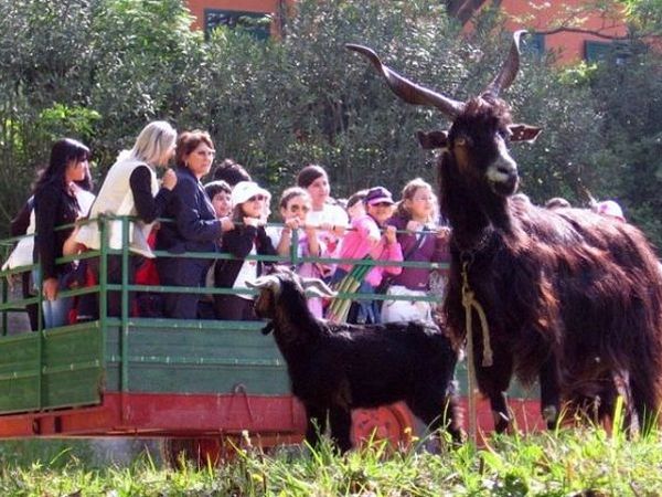 Azienda Agricola Terre di Vasia - Serrata (RC)