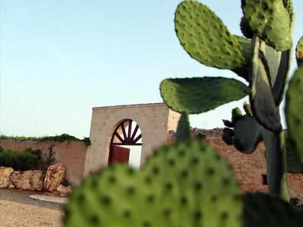 Masseria Tutosa