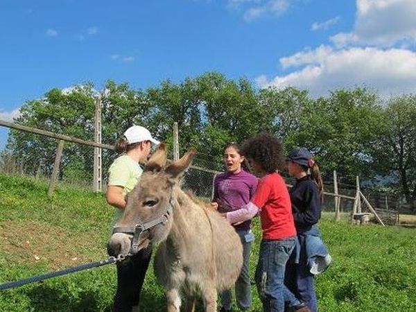 Centro Agrituristico lEliantemo