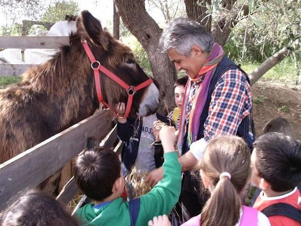 Terra di Pace - Noto (SR)