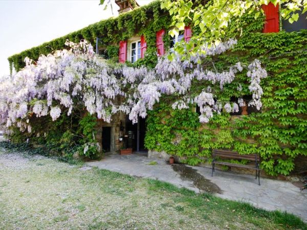 Fattoria Montalbano - Reggello