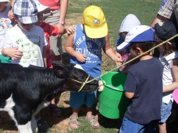 Palazzo Vecchio - Borgo San Lorenzo (FI)