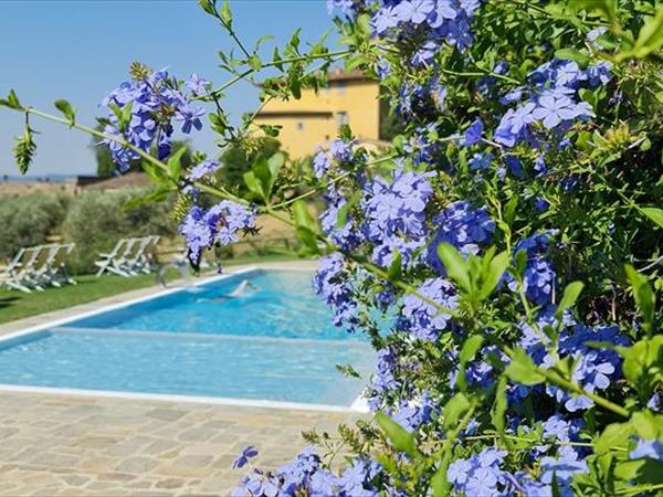 Fattoria di Maiano - Fiesole (FI)