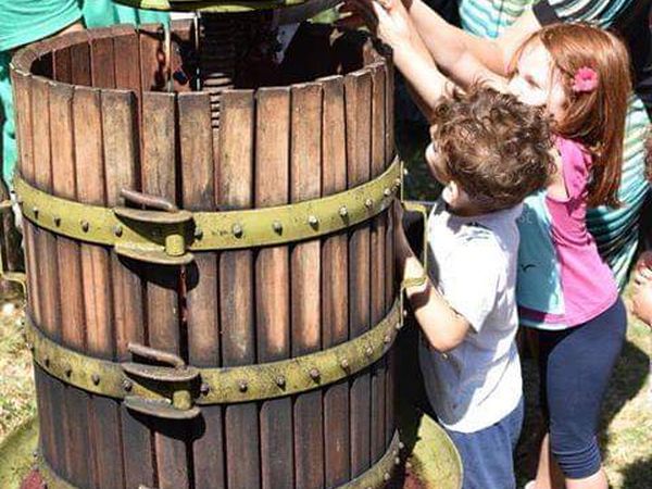 Fattoria Didattica San Domenico