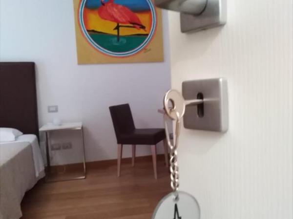 Belo Horizonte - Civitanova Marche (MC)