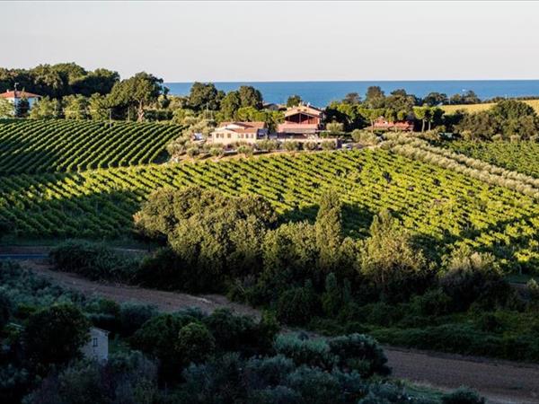 B&B - Uva Residence - Fano (PU)