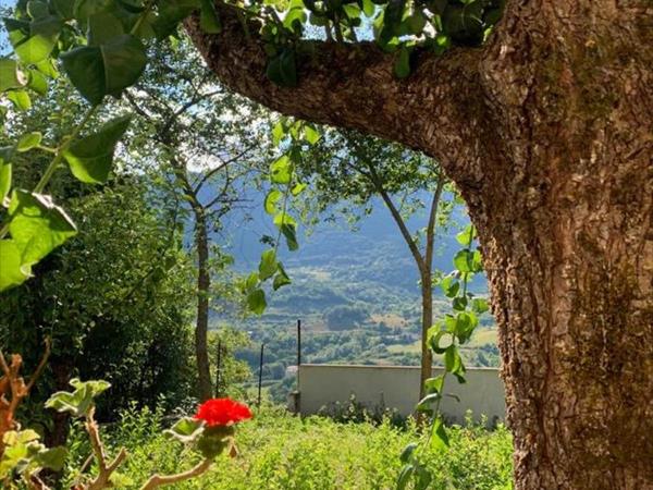 B&B Al San Francesco - Castel di Sangro (AQ)