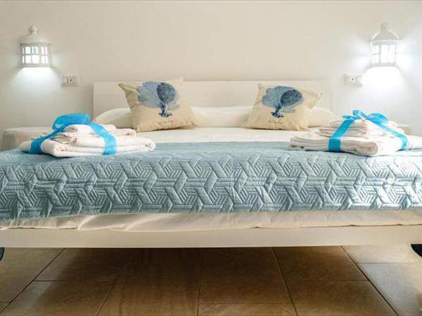 Tenuta LAlba di monte Matino