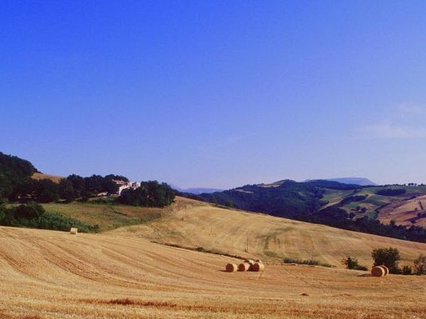 Agriturismo Il Fienile di C Battista