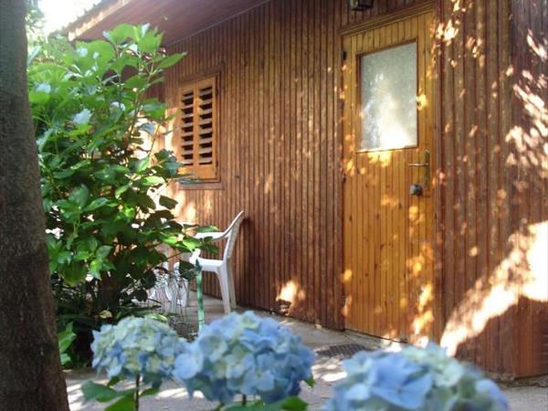 Fiori DArancio - Piano di Sorrento (NA)