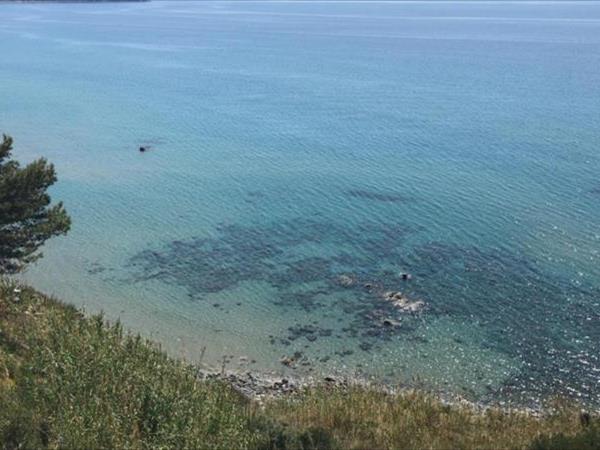 Residence Punta Cilento - Pisciotta (SA)