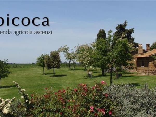 Bicoca - Casaletti - Viterbo (VT)