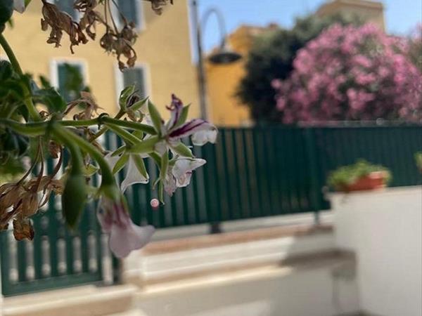 Riviera Albachiara Anzio B&B - Anzio (RM)