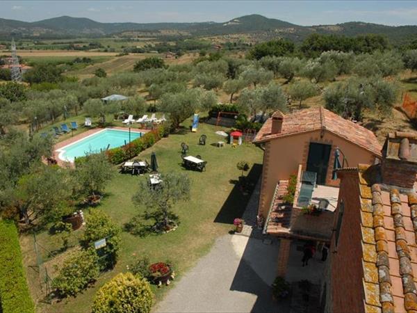 La Piaggiola degli Olivi