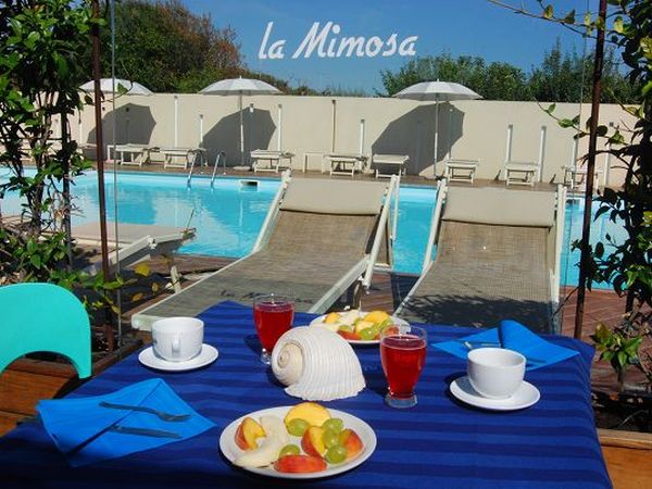 LA MIMOSA - foto 8172.jpg